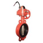 Van Buom Tin Hieu Dien Aut Malaysia Aut.com .vn 300x300 1