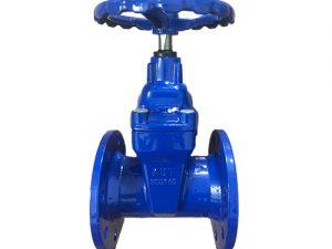 Van Cong Aut Malaysia.jpg