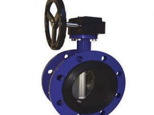 Van Buom Mat Bich Aut Malaysia.jpg