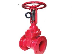 Van Cong Tin Hieu Dien Aut Malaysia.jpg