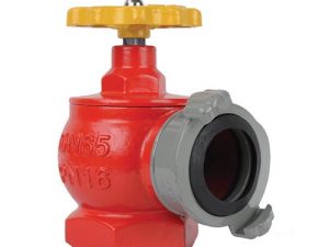 Van Goc Chua Chay Aut Malaysia.jpg