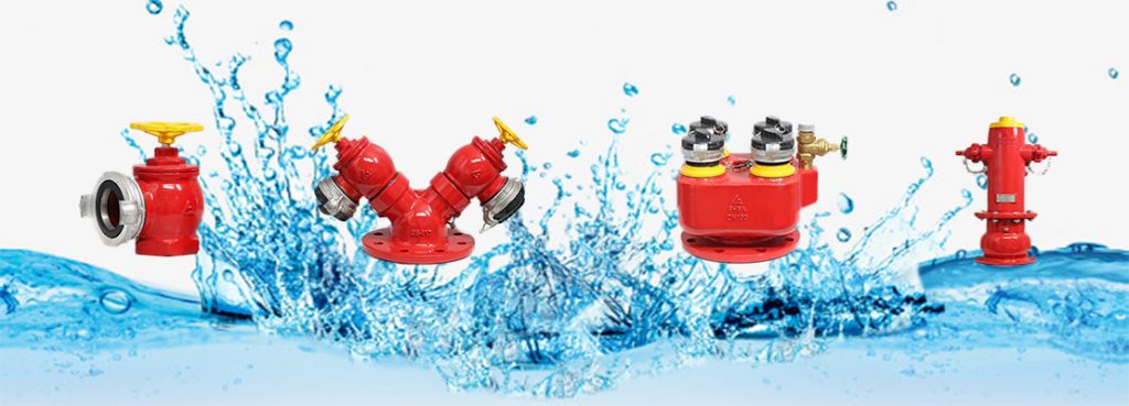 Van Shinyi Ha Noi Vannhapkhau.vn 1