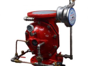 Van Xa Tran Aut Malaysia.jpg