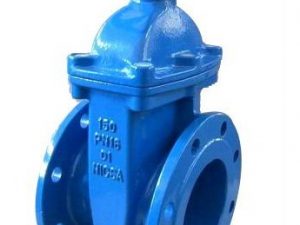 Van Cong Ty Chim Tay Quay Tfw.jpg