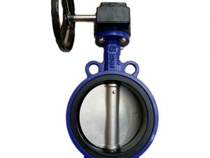 Van Buom Tay Quay Aut Malaysia.jpg